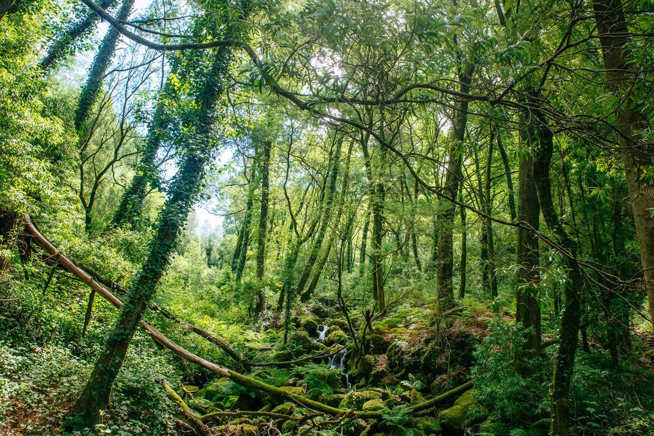 Quinta Do Rio Geres Villa Bouro Kültér fotó