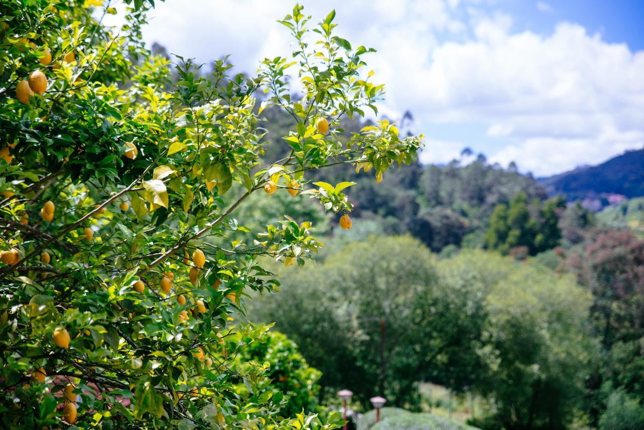 Quinta Do Rio Geres Villa Bouro Kültér fotó